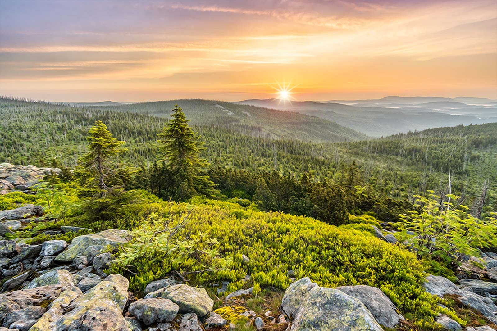 Berg, Wald (Bild Felix Mittermeier) | Digitize the Planet