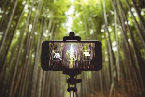 Smartphone Wald Natur (Bild Dsd, pexels) Digitize the Planet