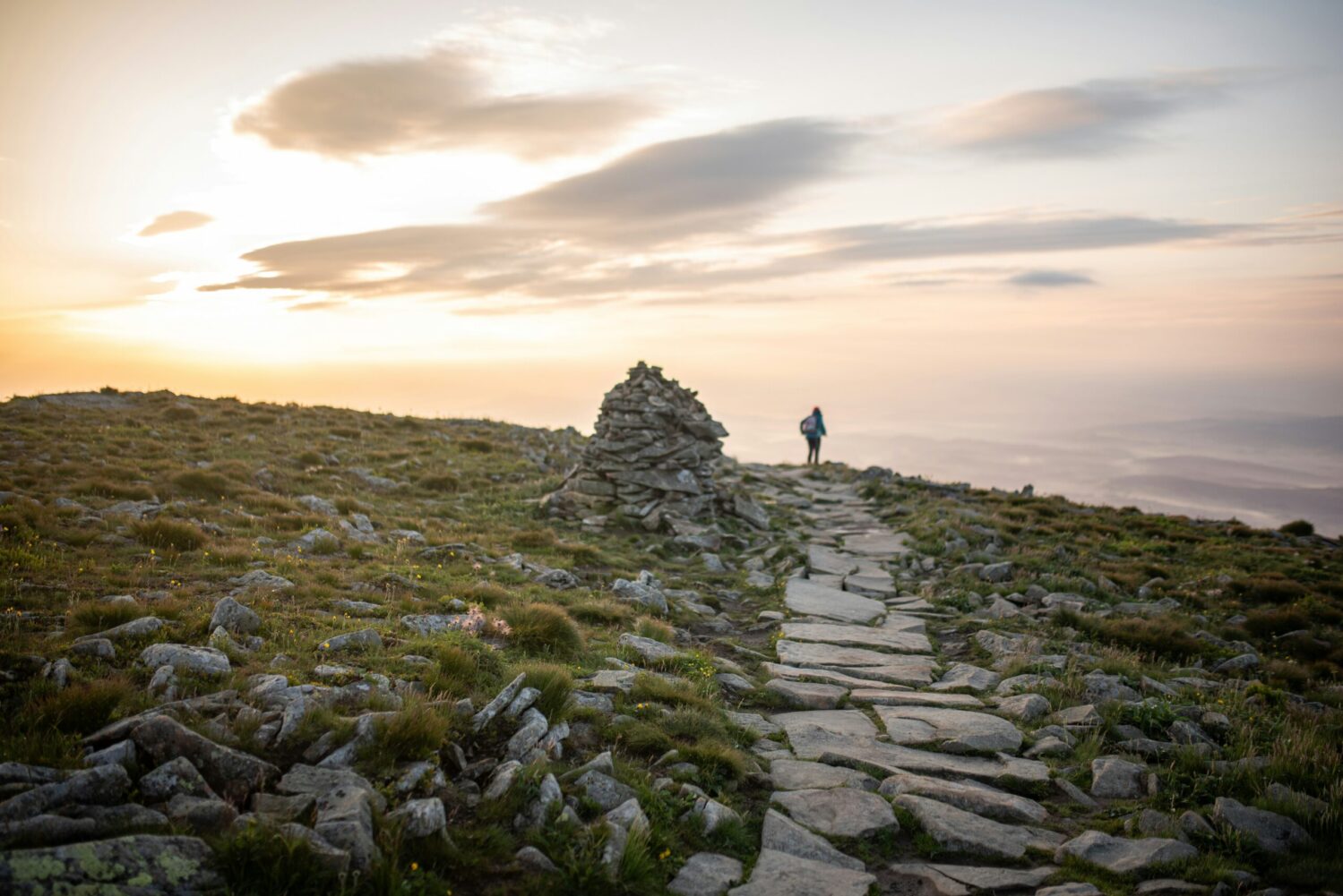 Wandern Weg Sonnenuntergung (Bild Monika-Guzikowska, unsplash) Digitize the Planet